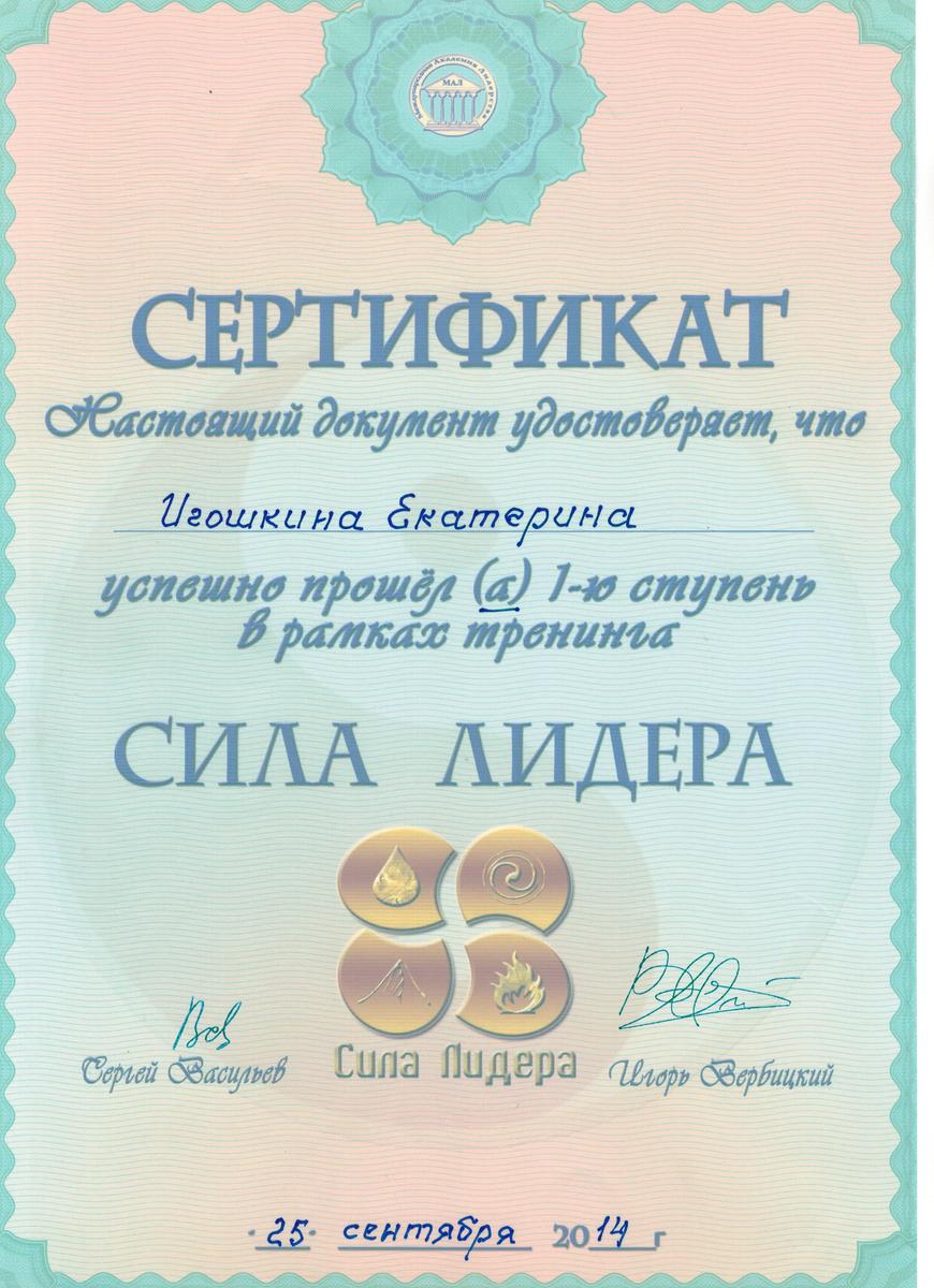 ДИПЛОМЫ, СЕРТИФИКАТЫ