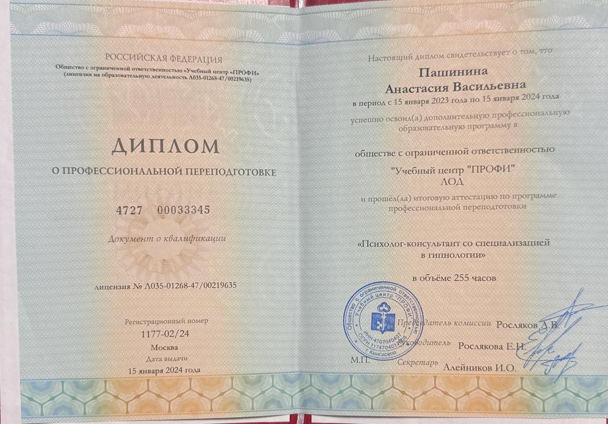 ДИПЛОМЫ, СЕРТИФИКАТЫ