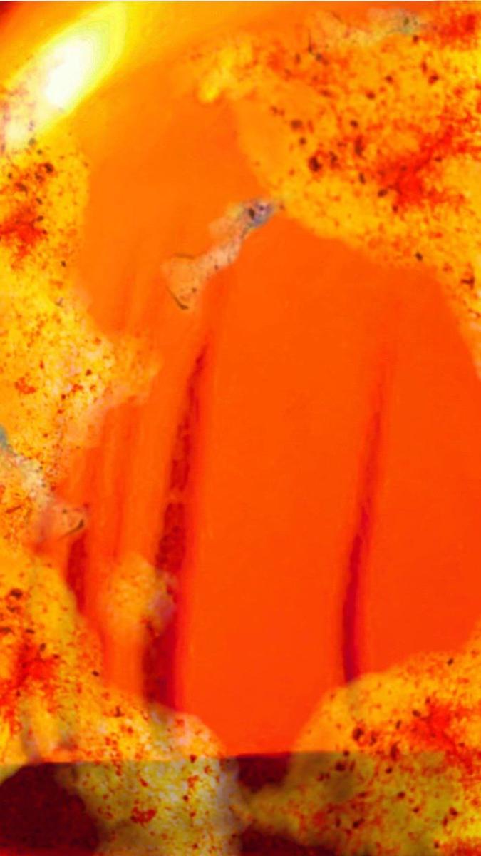 Недра чувств