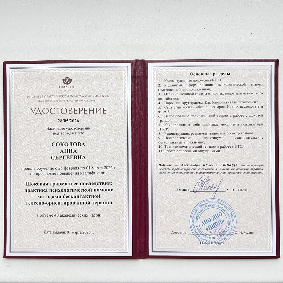 ДИПЛОМЫ, СЕРТИФИКАТЫ