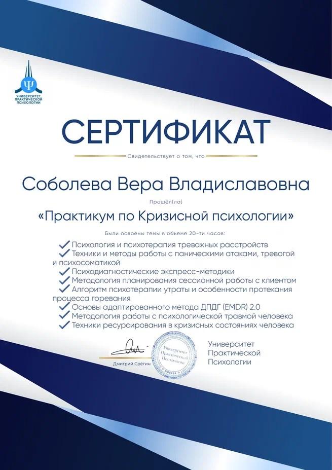 ДИПЛОМЫ, СЕРТИФИКАТЫ